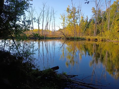 Land, Lachine, MI