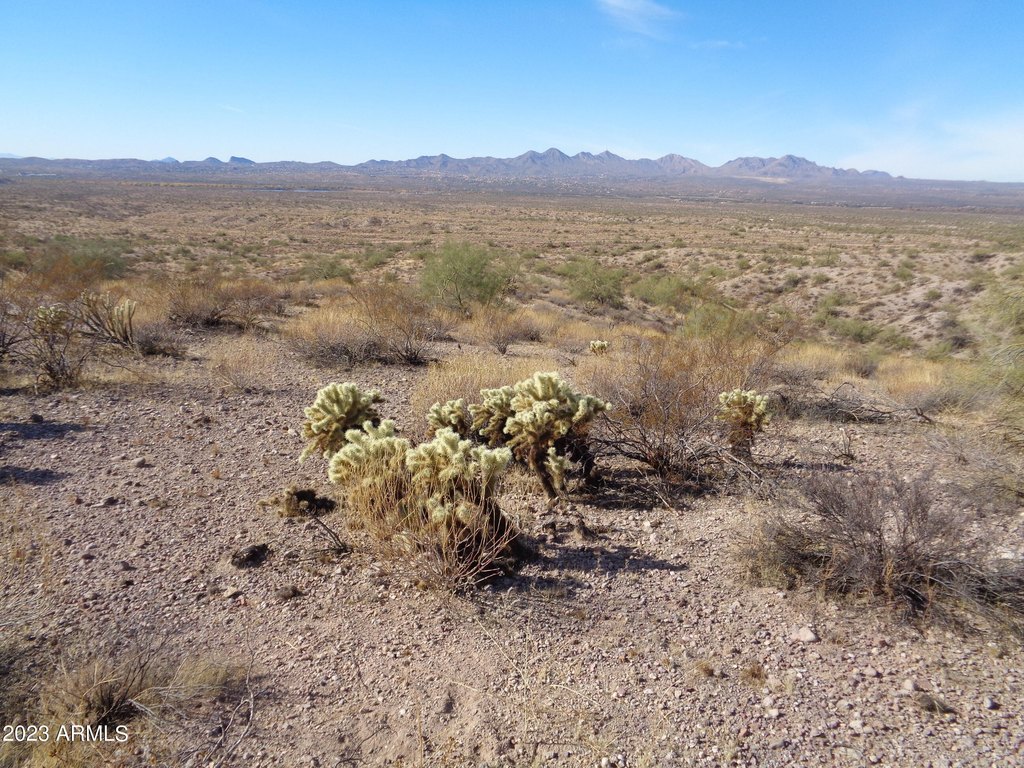 Picture 14