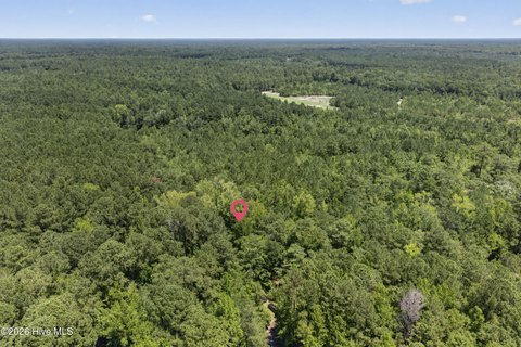 LAND - Burgaw, NC