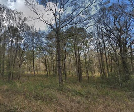 Land, HASTINGS, FL