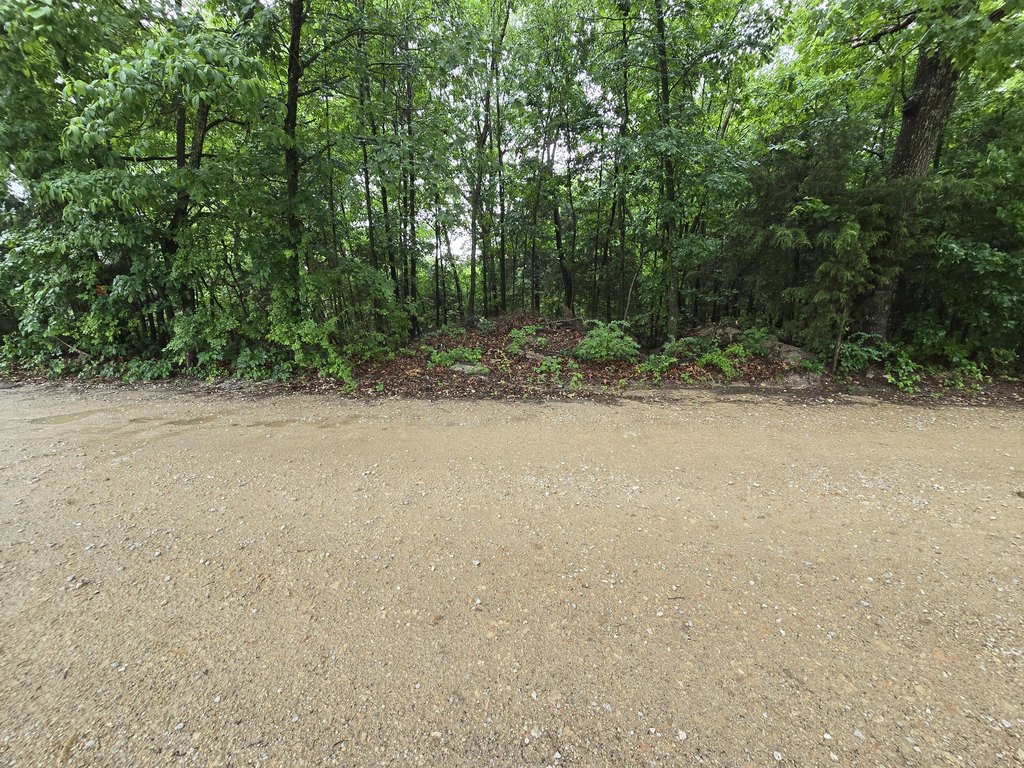 Picture 13