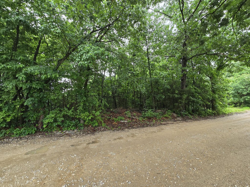 Picture 15
