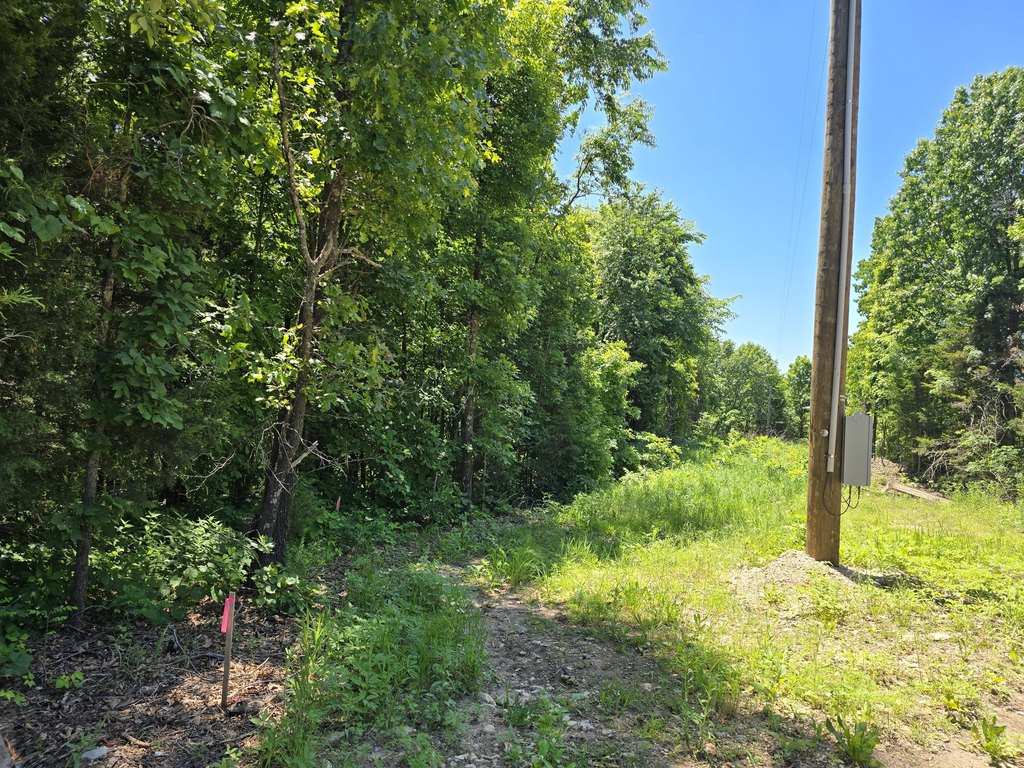 Picture 8