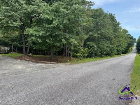 Residential Lot - Lizella, GA
