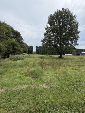 Land, Constantine, MI