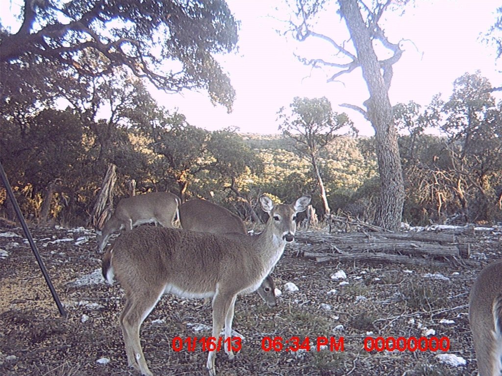 Picture 12