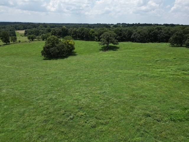 Picture 28