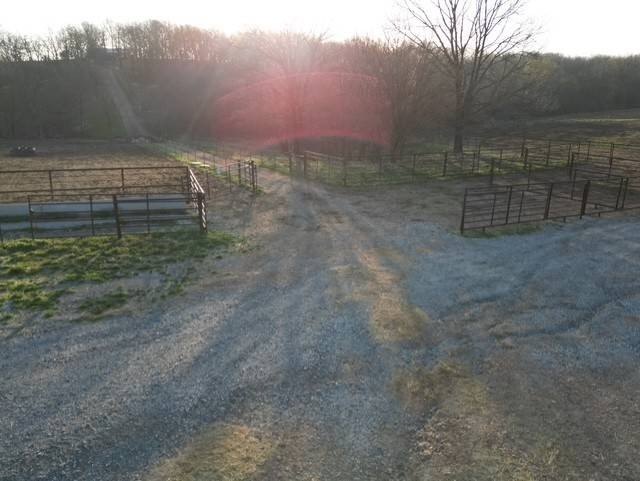 Picture 12