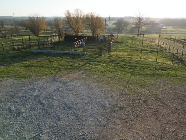 Picture 3
