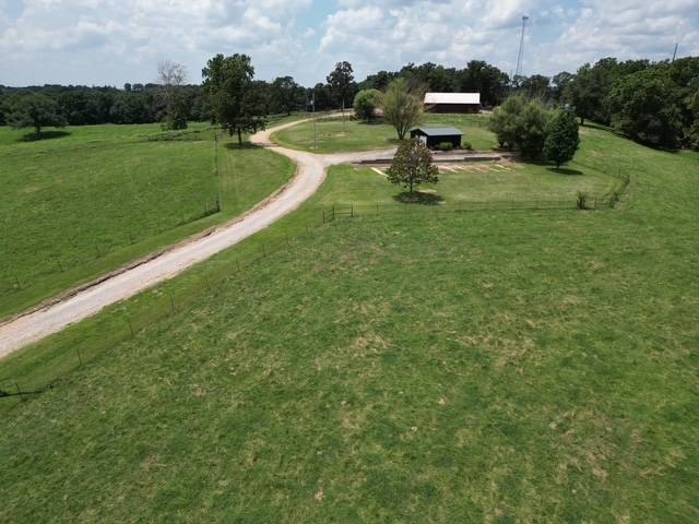 Picture 26