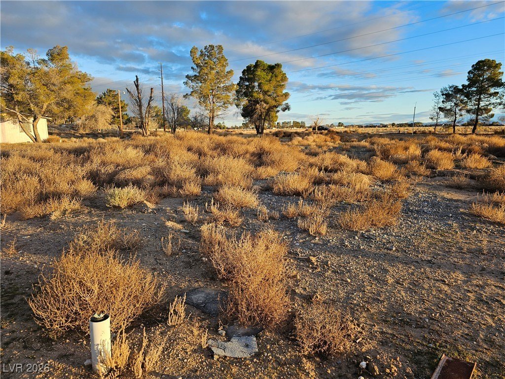 Picture 14