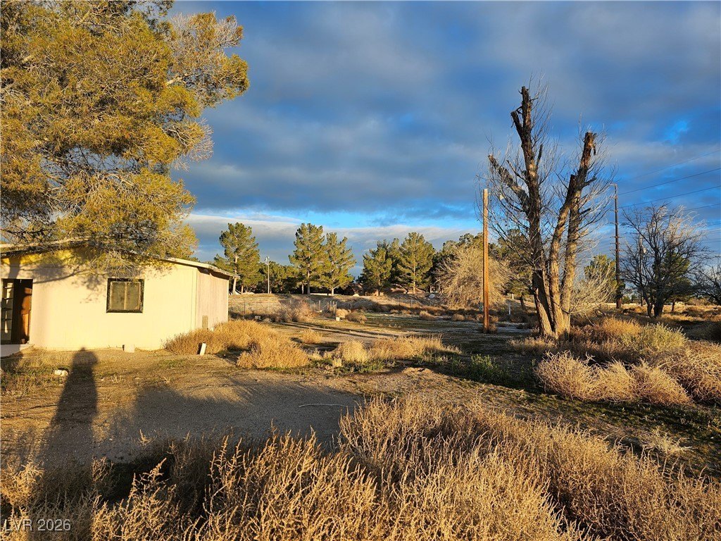 Picture 9