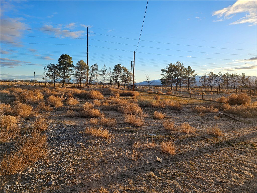 Picture 16