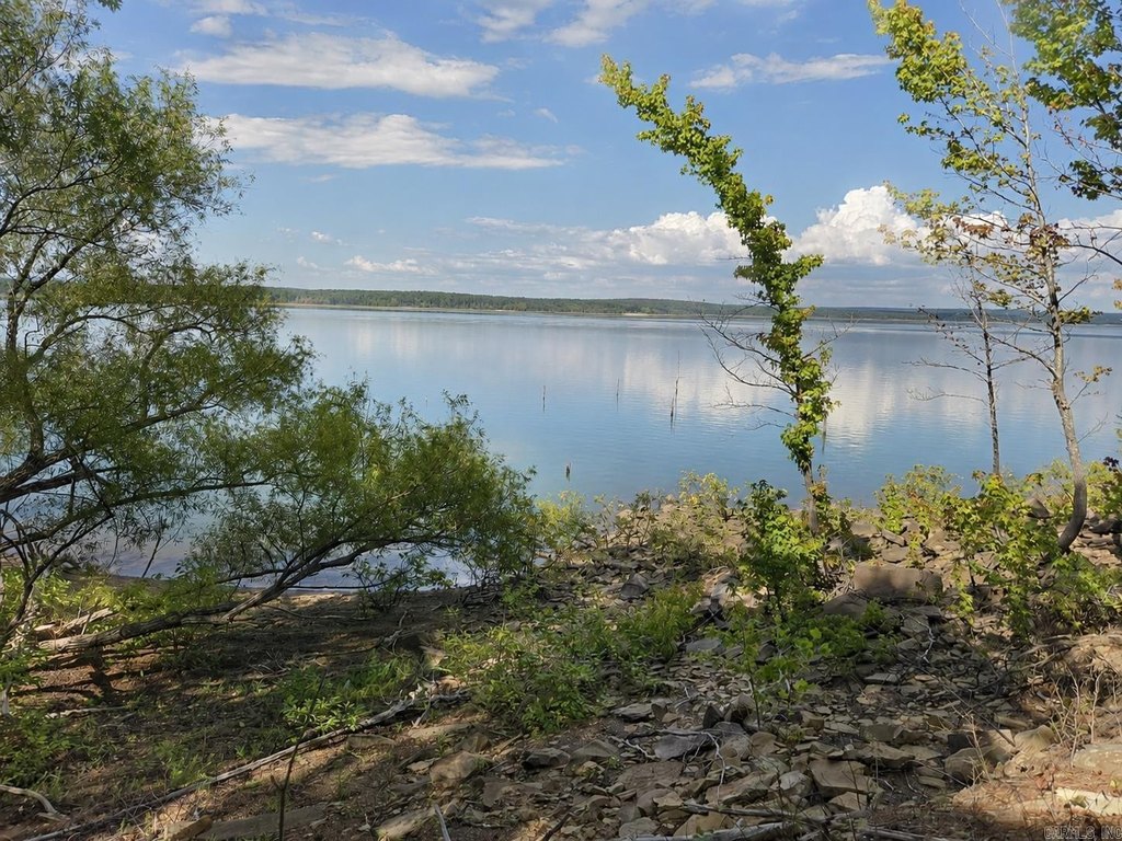Picture 9