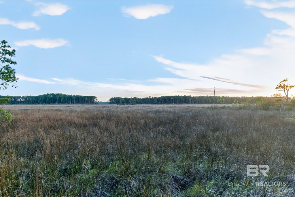 Picture 54