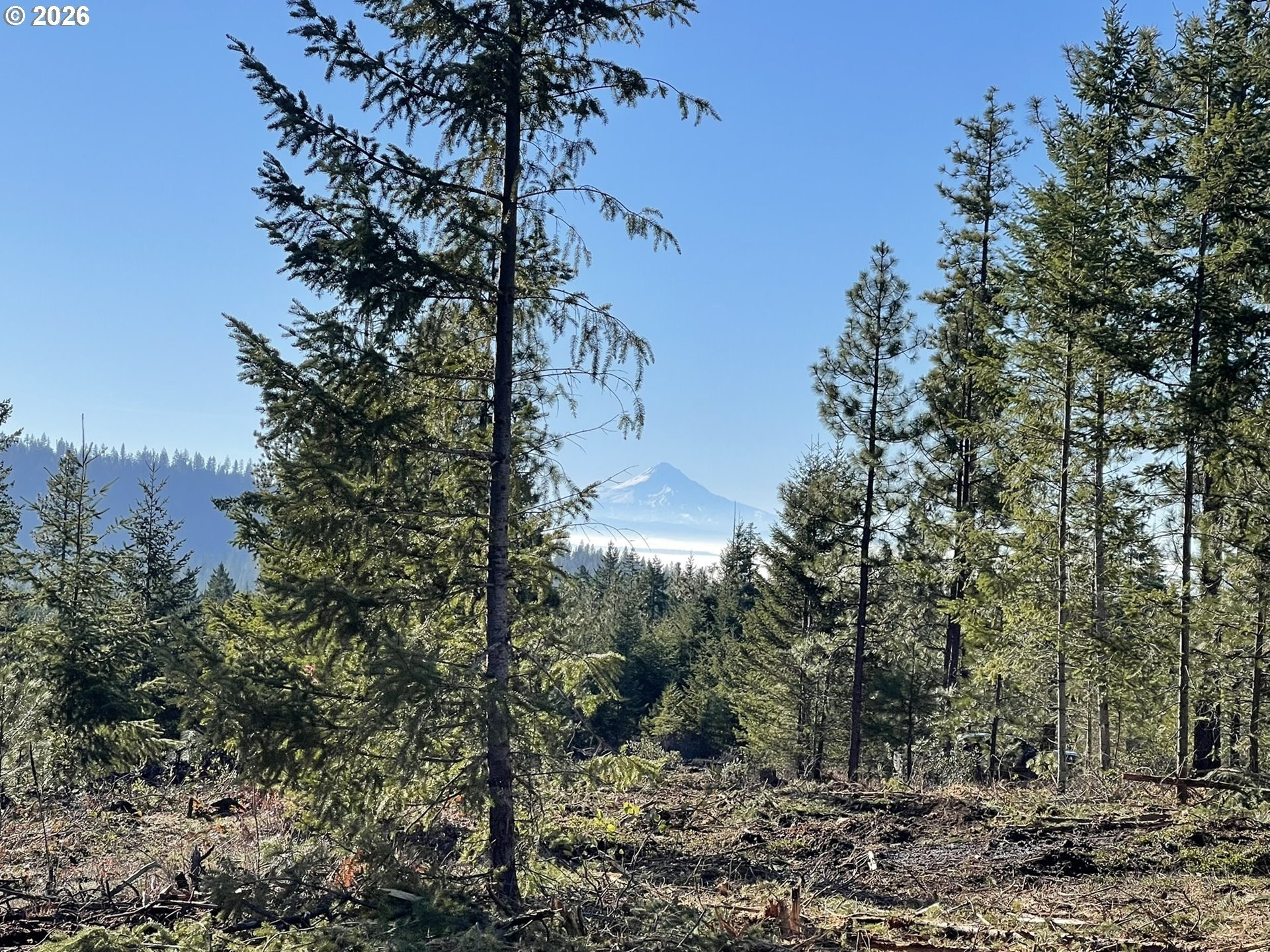 80 Acres of Rural Land