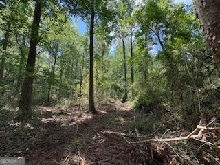 Land, Thomaston, GA