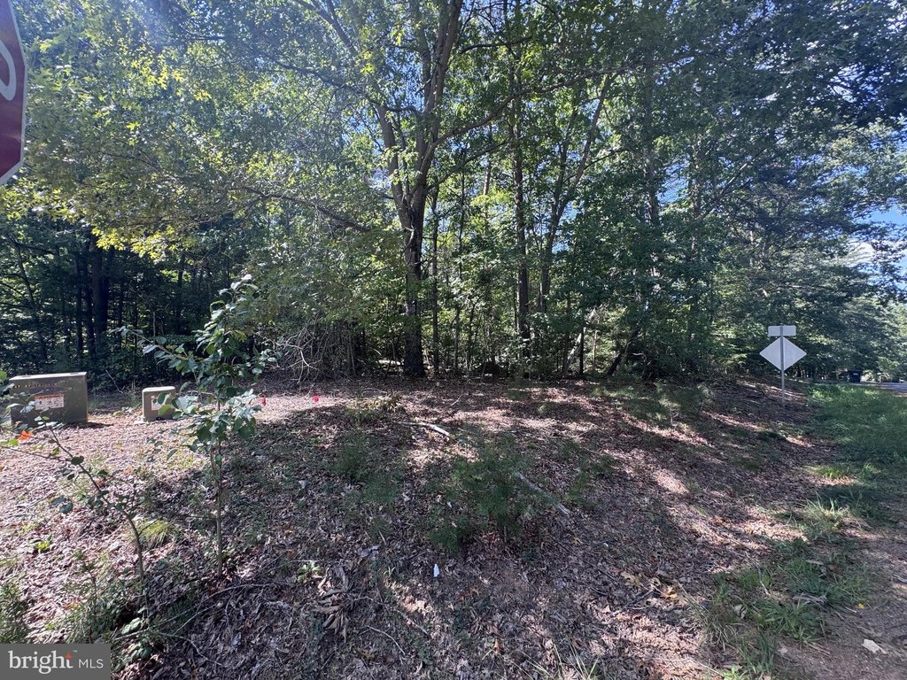 Picture 23