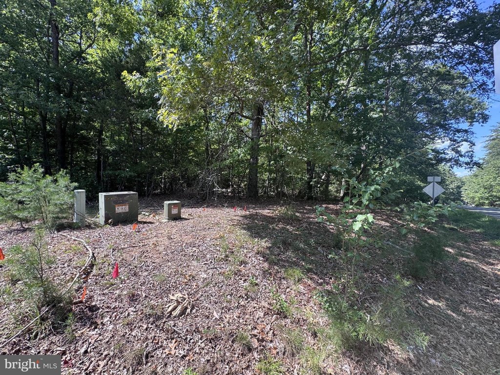 Picture 22