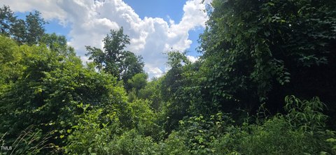 Residential Land in Growing Area