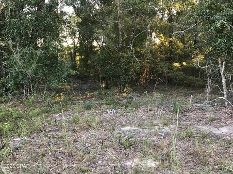 Land, Caryville, FL