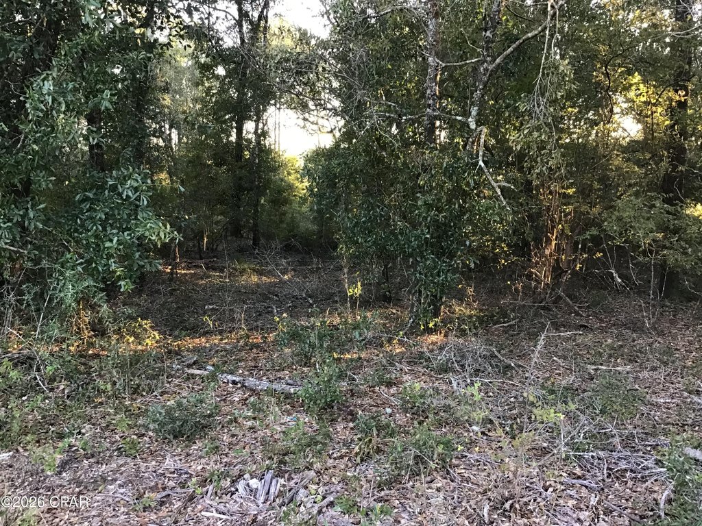 Picture 10