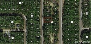 LAND - Citrus Springs, FL