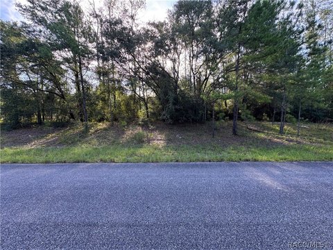 LAND - Citrus Springs, FL