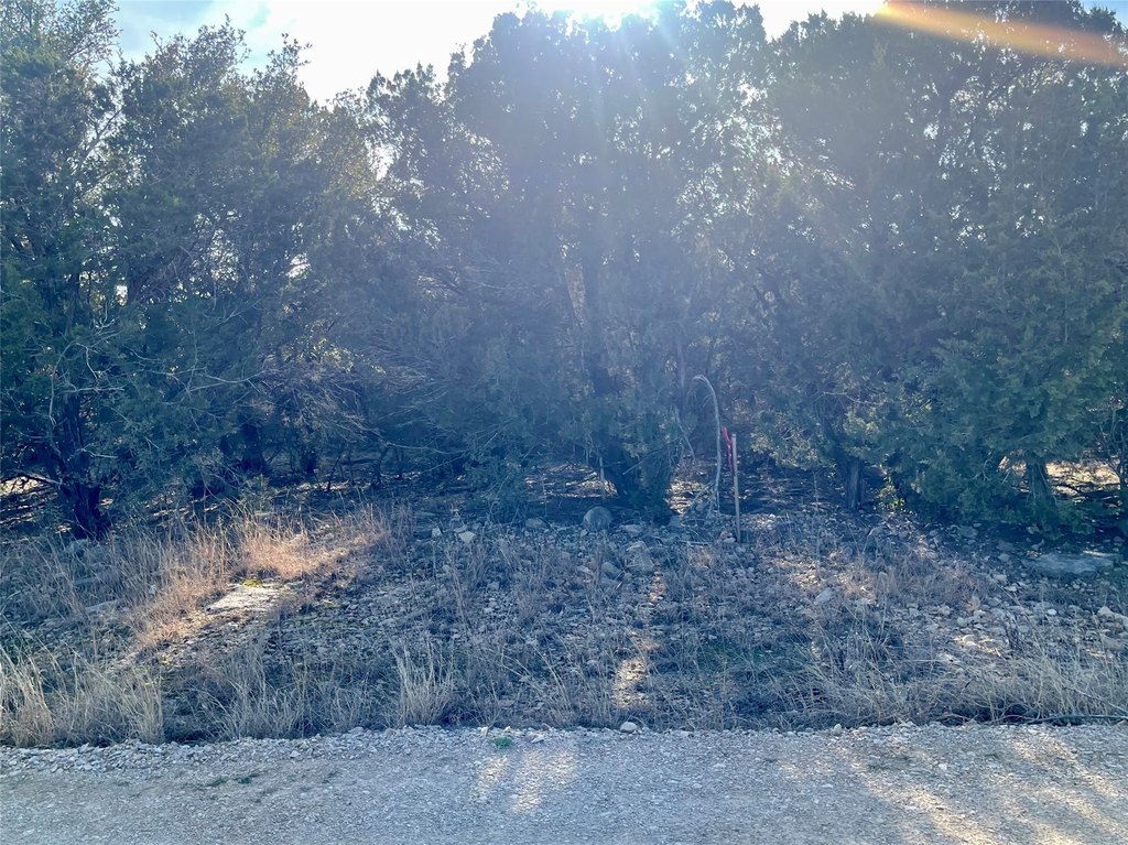 Picture 12
