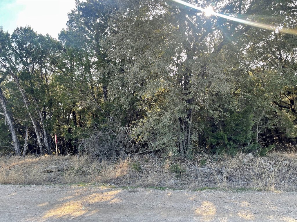 Picture 4