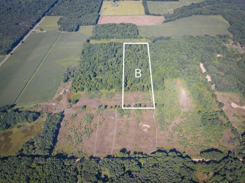 Walkerville Land with Hunting Potential