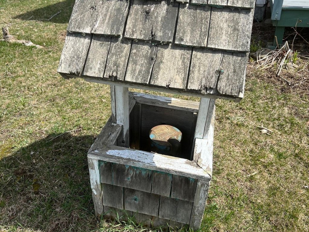 Picture 19