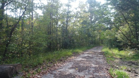 Burnside, KY Wooded Land