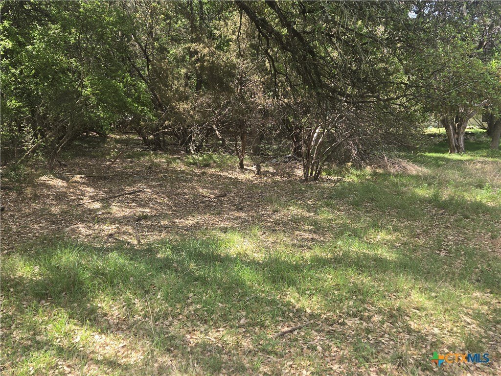 Vacant Lot Near Lake Belton