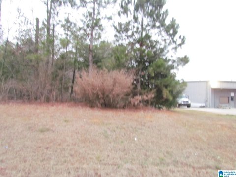 Industrial Land with Interstate Frontage