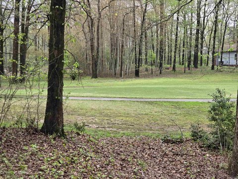 Residential Land in Diamondhead
