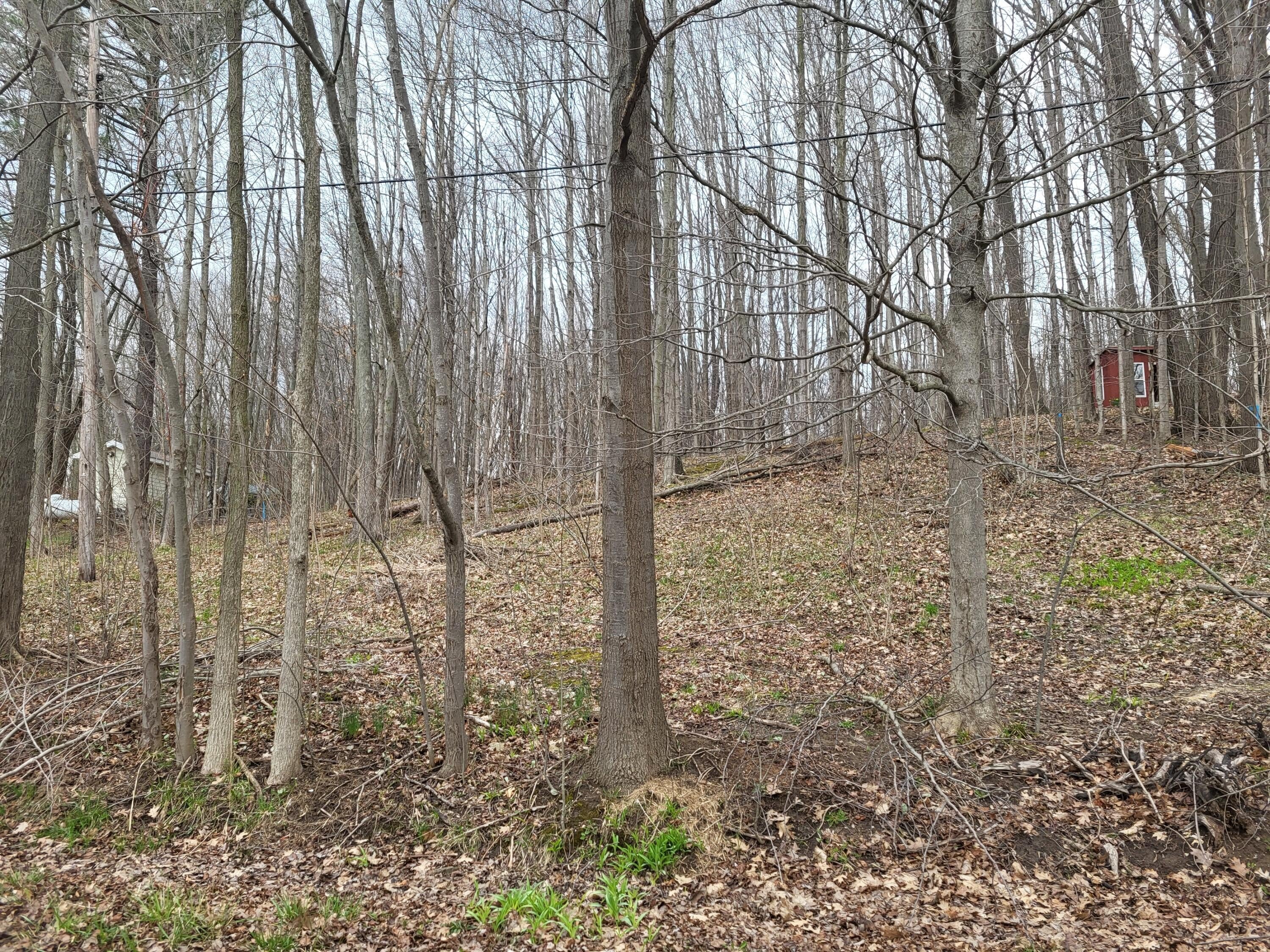 Wooded Lot with Lake Access