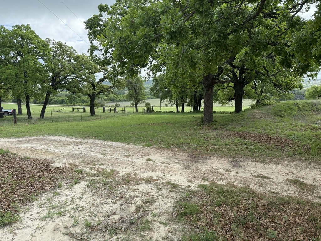 Picture 19