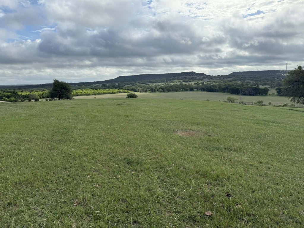 Picture 28