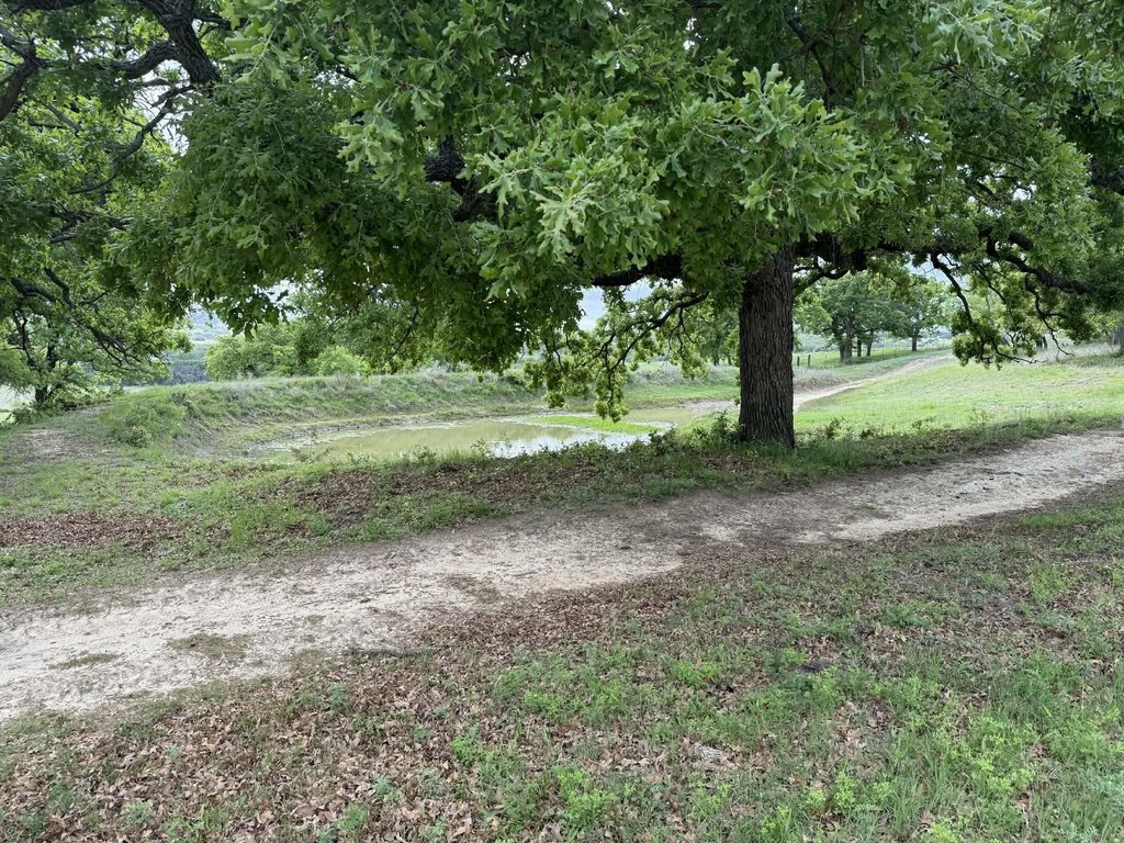 Picture 16