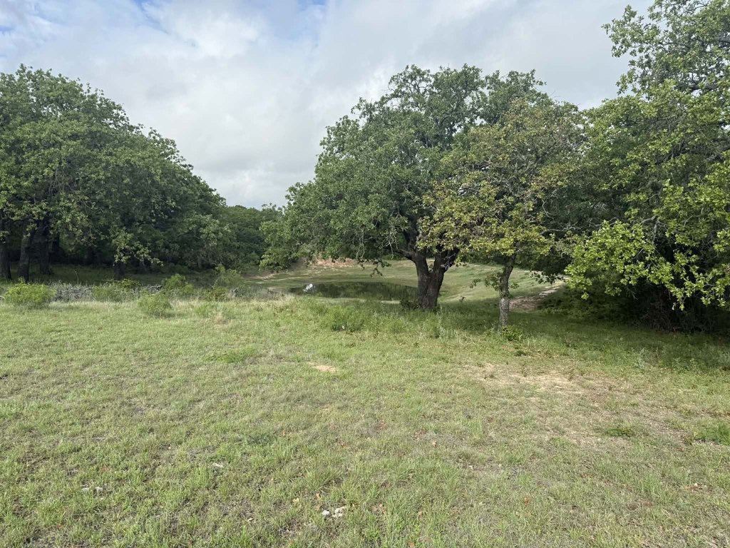 Picture 29