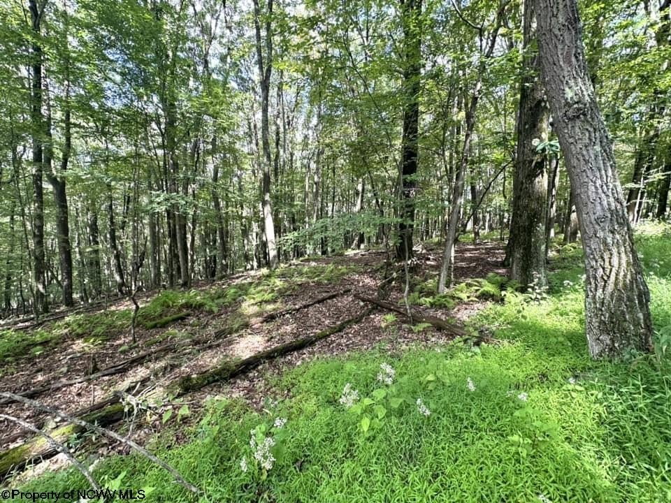 Picture 4