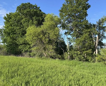 Vacant Lot in Sturgeon Bay