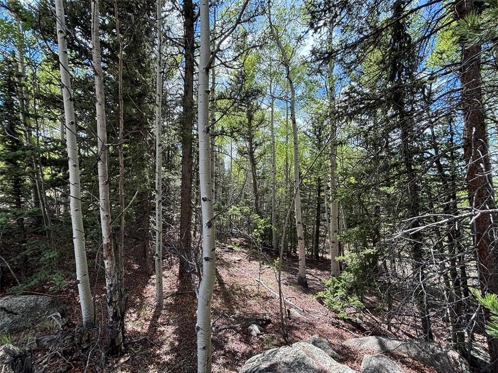 Picture 19