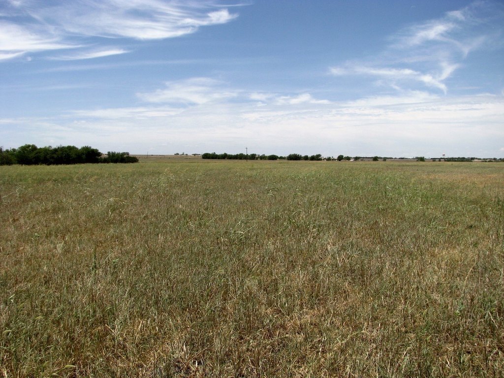 Picture 20