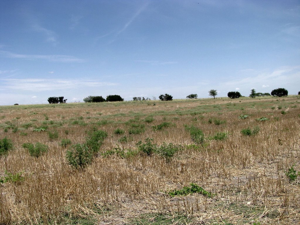 Picture 22