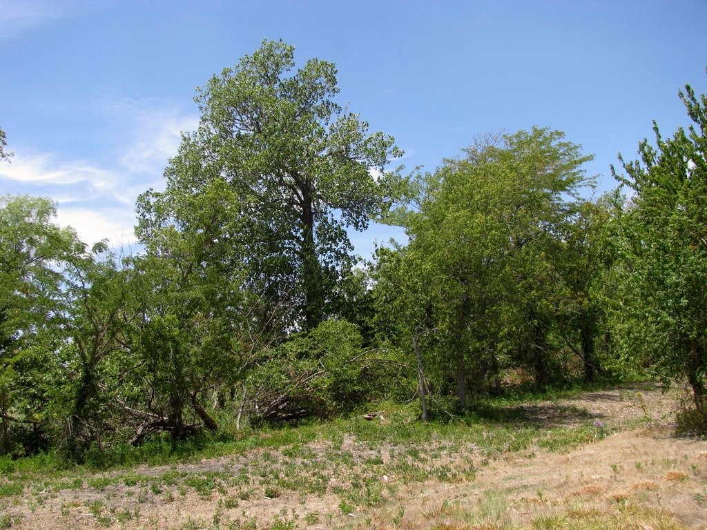 Picture 12