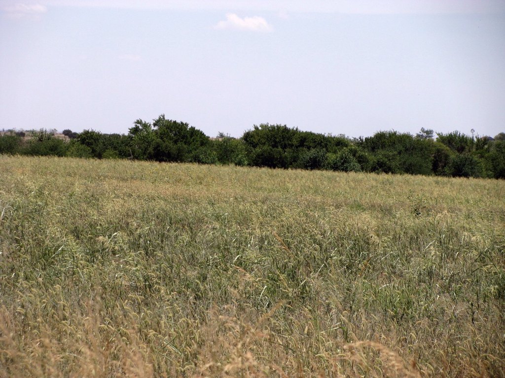 Picture 23