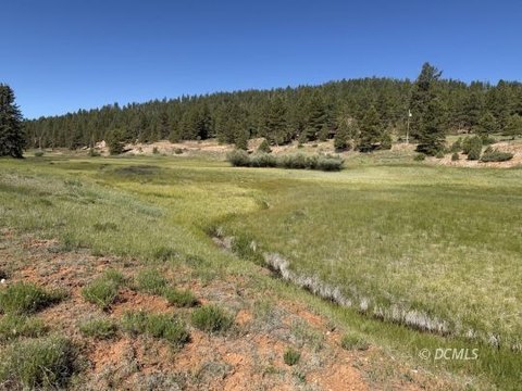 Residential Lot in Duck Creek