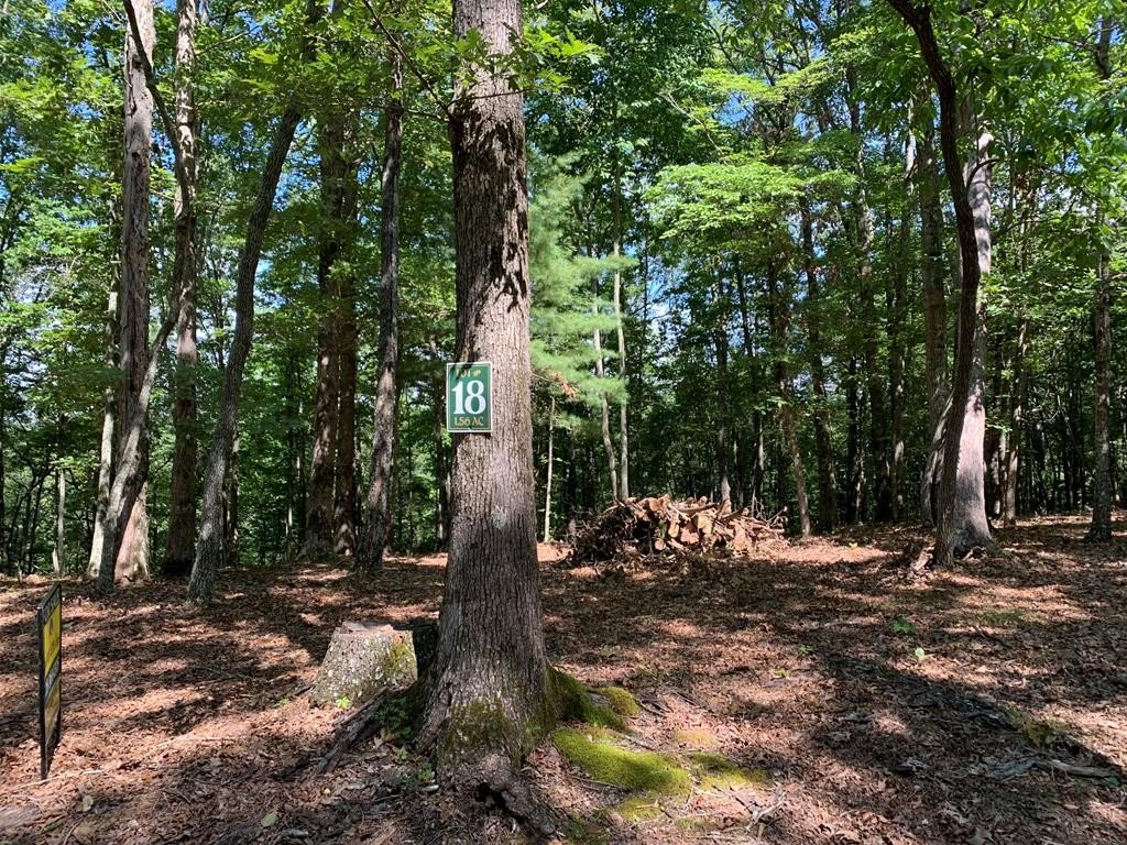Hayesville, NC Vacant Lot